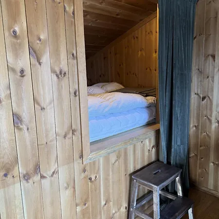 Cosy - In-out