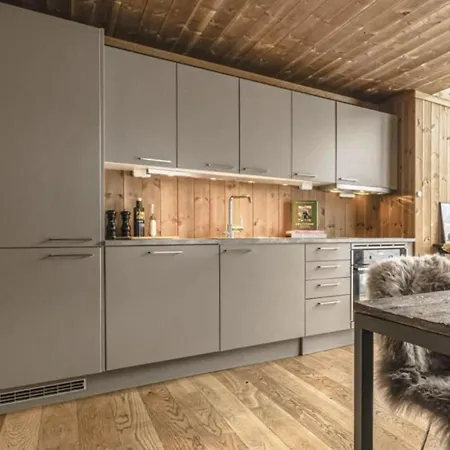 Cosy - In-out Hemsedal